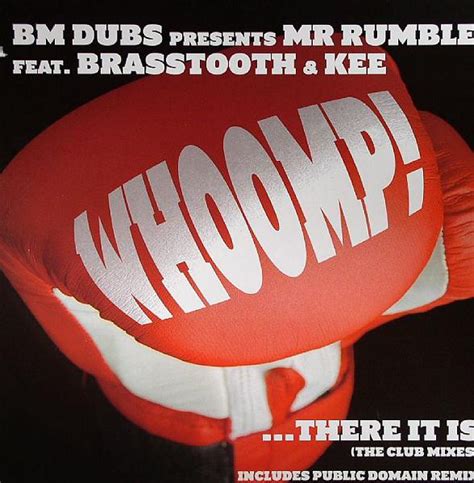 Whoomp there it is meaning. Whoomp! ...There It Is (The Club Mixes) | Discogs