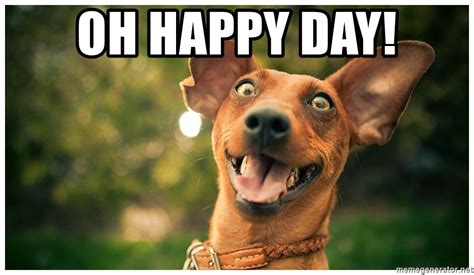 Maybe you would like to learn more about one of these? oh happy day! - happy dog is crazy | Meme Generator