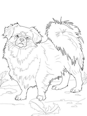Antistress freehand sketch drawing with doodle and. Tibetan Spaniel Coloring page | Dog coloring book, Horse ...
