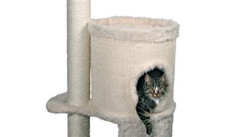 Ebay.de has been visited by 100k+ users in the past month How to Build a Cat Scratching Post - DIY and Repair Guides
