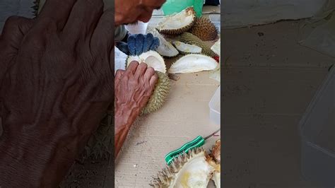 Pemenang anugerah durian terbaik pulau pinang bagi tahun 2011 dan 2012, durian duri hitam (d200) adalah nama yang tidak asing di kalangan penggemar durian tempatan kerana keunikan rasanya yang dikatakan mampu menandingi keenakan durian musang. Durian D200..duri Hitam.. - YouTube