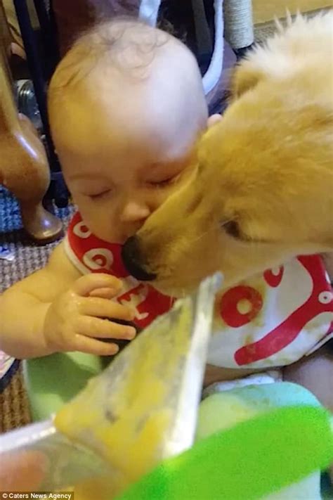 Check spelling or type a new query. Adorable moment puppy cleans baby's face by licking it ...