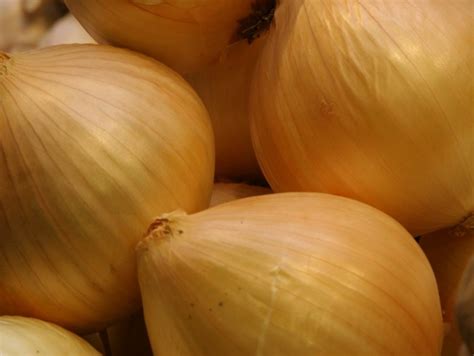 I am happy with your products and response time. Onion 'Yellow Sweet Spanish' Seeds | Garden Hoard ...