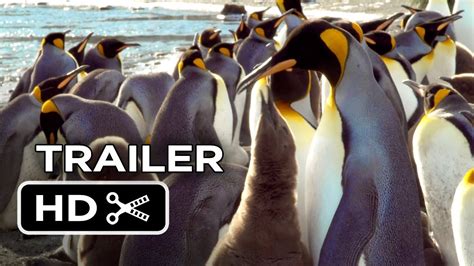 Adventures of the penguin king. Adventures Of The Penguin King TRAILER 1 (2013) - Tim ...