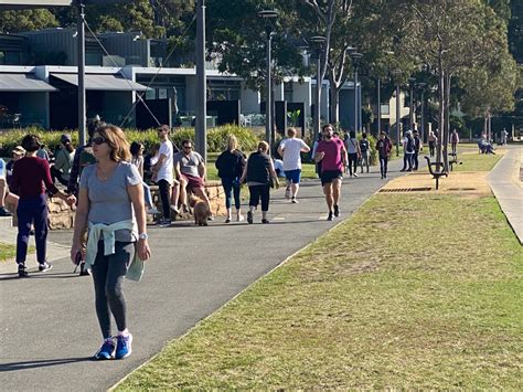WalkSydney 13-year study shows more people walking everyday in NSW
