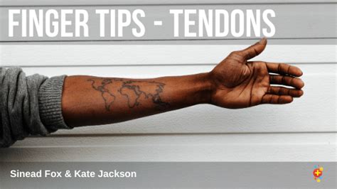 Forced flexion of the dip joint by either a traumatic blow to the distal phalanx or jersey finger (normal vs. Finger Tips - tendons and ligaments