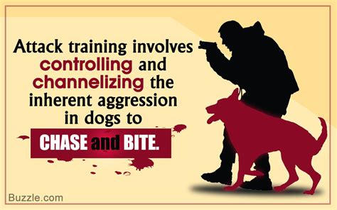 Let's say you feed your dog a half pound of meat in the morning and a half pound of chicken necks in the evening. How Do Police Train Their Dogs to Attack? You'll Be Amazed ...