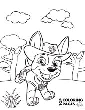 Chase, ryder, rubble, marshall, rocky, zuma, skye, everest, tracker, rex, ella and tuck. PAW Patrol coloring pages for free - Topcoloringpages.net