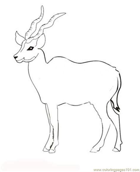 See more ideas about antelope, wood badge, free printable coloring pages. 27 Antelope Coloring Page for Kids - Free Deer Printable ...