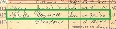 Mar 19, 2017 · these census cards also sometimes mention the 1880 cherokee census and earlier rolls. Thoughts from Polly's Granddaughter: Did Warren invent the story of racist grandparents?