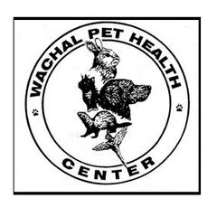 In the wild, rabbits often live. Wachal Pet Health Center in Lincoln, NE | Connect2Local