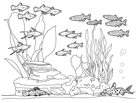 64 sketsa gambar pemandangan dasar laut terbaru duniasket via duniasket.blogspot.com. Gambar Mewarnai Pemandangan Bawah Laut Anak TK PAUD SD ...