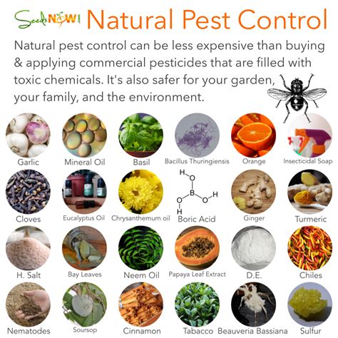 We use integrated pest management (ipm) to solve pest issues while avoiding hazards to the ecosystem, and of course your family & pets. Natural Pest Control Methods - Urban Organic Gardener