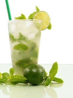 Pour in enough chilled grapefruit soda (about 1 cup) to fill the glass. Fast-n-Delicious: Mojito Limeade