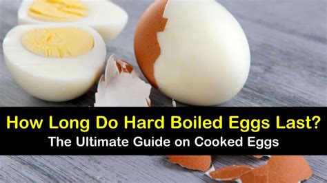 The best way is to smell and look at the eggs; 6 Ideas for Making Hard Boiled Eggs Last