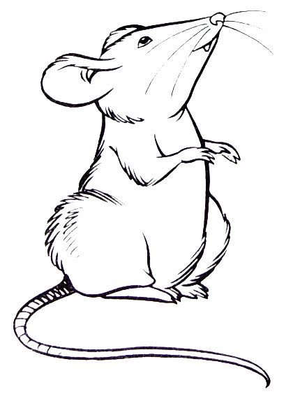 Mole rat coloring page to print. rat coloring page,rats coloring pages,animals,colouring ...