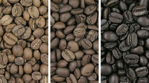 I love coffeefood & drink. What Is Roast Development? | Five Senses Coffee