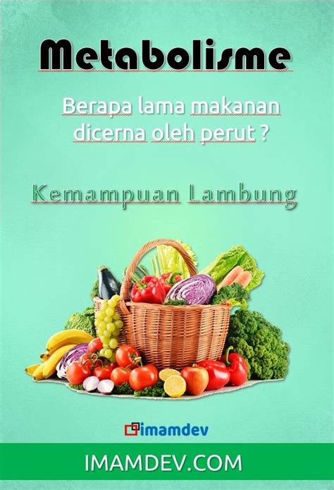 Berapa lama adakah penutupan rumah? Berapa Lama Makanan Dicerna Oleh Perut ? in 2020 | Food ...