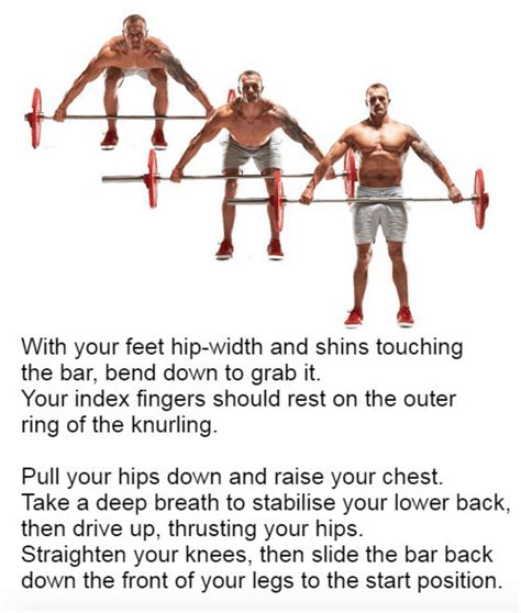 Total Body Workout Plan Using Only A Barbell - 15 The Best ...