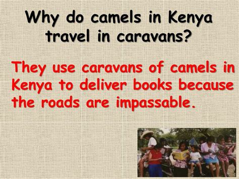 .from my librarian is a camel: PPT - My Librarian is a Camel Review PowerPoint ...