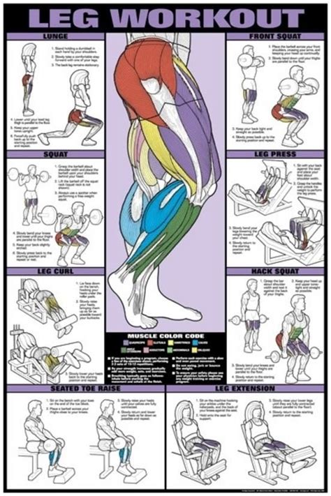 You can loss lots of calories by building your leg muscles with resistance training. leg workout | Deporte | Ejercicios, Ejercicios de ...