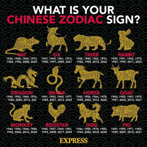 12, 2021 and lasting to jan. Dog 2021 zodiac horoscope: What your Chinese zodiac sign ...