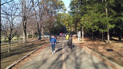 In central tokyo occupies the site of japan's first successful powered aircraft flight, and later the athletes' village during the 1964 olympics. 4K Walk - Yoyogi Park, Tokyo "Go around Former Olympic ...