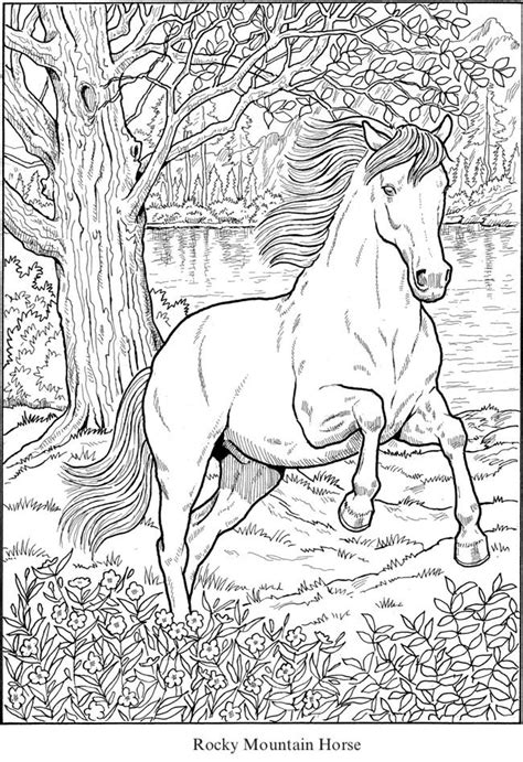 Find more coloring page of realistic horses pictures from our search. http://www.doverpublications.com/zb/samples/817911 ...