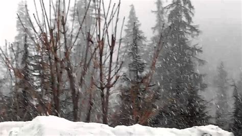 Himachal pradesh's popular tourist destination manali and its nearby hill destinations received more snowfall in the past 24 hours. Live Snowfall in Manali ..really Cool place - YouTube