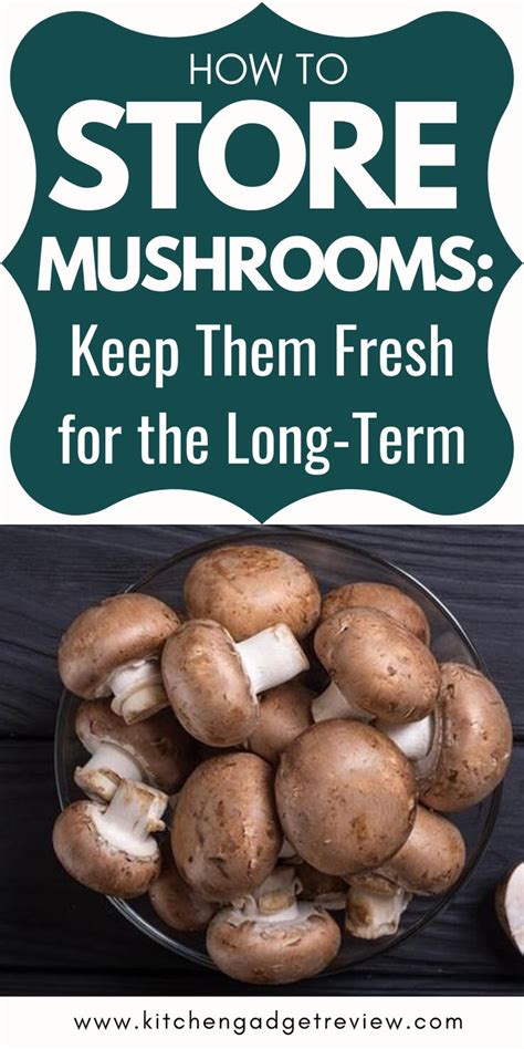 Check spelling or type a new query. How to Store Mushrooms: Keep Them Fresh for the Long-Term ...