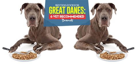 This variety in content does not mean that some food products are in all ways bad for the dog. Best Dog Food for Great Danes of 2020: Top 6 Vet ...