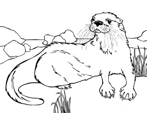 When they reach adulthood they can weigh up to one hundred pounds. coloring page river otter | Otter Coloring Sheets | Animal ...