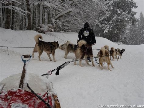 Nous vous proposons des sorties avec chiens de traîneaux, ainsi que la découverte de notre élevage de rennes et nos gîtes insolites en ariège. Baptême de chiens de traîneau au Schnepfenried avec Rêve de Nord - Mon week-end en Alsace