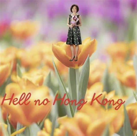 no hongkong