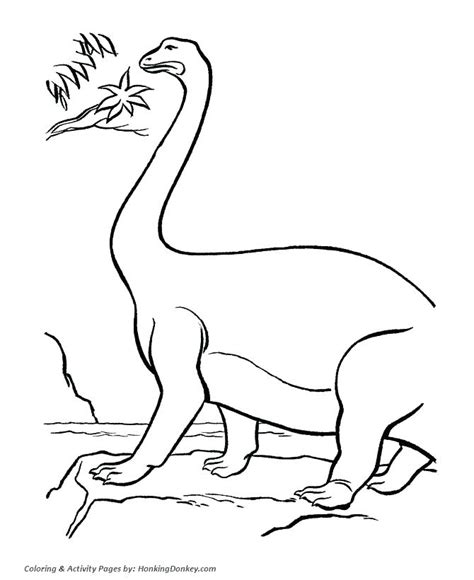 Camouflage is the use of any combination of materials, coloration, or illumination for concealment, either by making animals or objects hard to see. Camouflage Coloring Pages at GetDrawings | Free download
