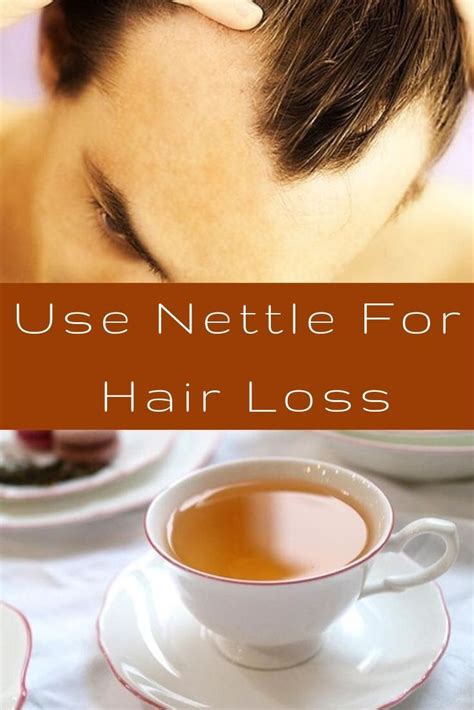 It is a mildly yellowish colored oil which is thick but is. How To Use Nettle For Hair Loss [Tea Or Tincture | Nettle ...