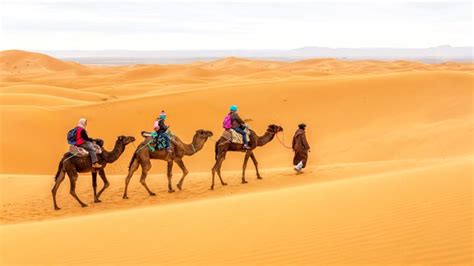 And the sun goes to sleep. Pin on Camel ride Morocco.