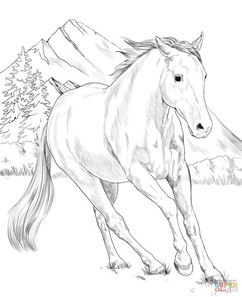 Her cutie mark is three pink and cyan butterflies. American Paint Horse coloring page | Free Printable Coloring Pages | Horse coloring pages, Horse ...