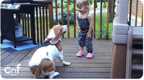 It's friday and time to partay! Little Girl Charlotte Dancing With Her Basset Hound Dog ...