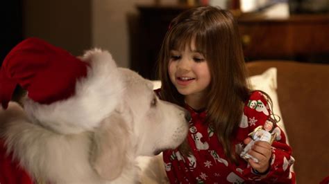 But at the same time, there is much of unpleasantness and meanness in the story which doesn't make it a favorable watch. Watch The Search for Santa Paws Full Movie Online Free ...