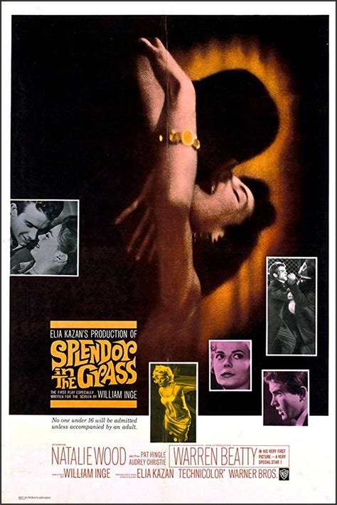 Splendor in the grass is a 1961 film directed by elia kazan, starring natalie wood and warren beatty. Splendor in the Grass (1961) | Great Movies