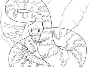 Coloring & activity pages, snake reptile serpent cobra rattlesnake viper mamba desert rainforest jungle toy totem supports animal welfare. Download Black Mamba coloring for free - Designlooter 2019
