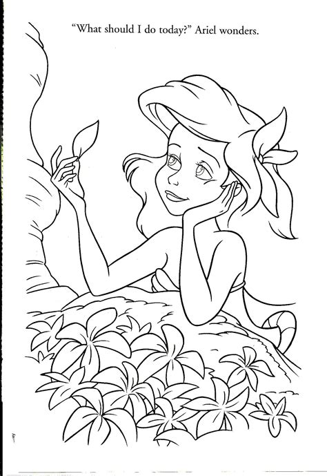 Click the preview image to print or download the coloring page that you want. Little Mermaid | Disney princess coloring pages, Disney ...