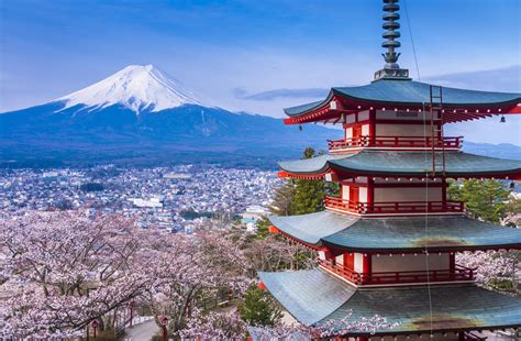 The genus was erected by augustus addison gould in 1959. Curentul.md | Vrei să ajungi în Japonia? Acum e mult mai ușor!