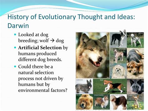 It's definition and how it came to be. PPT - Evolution: descent with modification PowerPoint ...