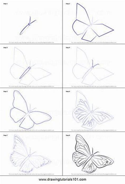 Drawing is a complex skill, impossible to grasp in one night, and sometimes you just want to draw make easy pencil drawings of the species after learning about their wing patterns and anatomies. Image result for How To Draw Step By Step #pencildrawing # ...