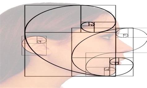 Theory and application of the linier model. Fibonacci Analysis - Techniques Applied to the Currency Market