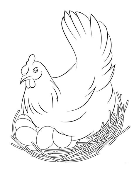 Ahmedatheism cara mewarnai gambar ayam jago. Koleksi Sketsa Mewarnai Gambar Ayam Terbaik