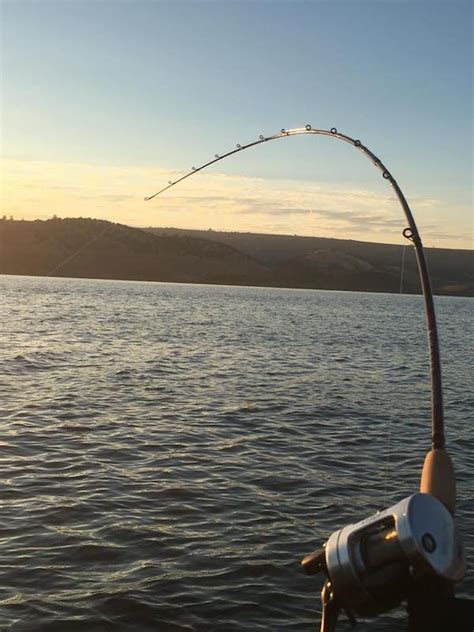 Mariana cordoba here and this little clip is of me and a glory hole i found by accident. New Melones Reservoir Fish Report - Angels Camp, CA