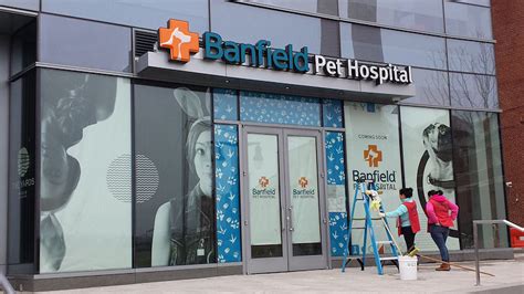 8,134 banfield pet hospital jobs hiring near you. Banfield Getting Closer; 82 I Hints; Florida Rock Shindig ...